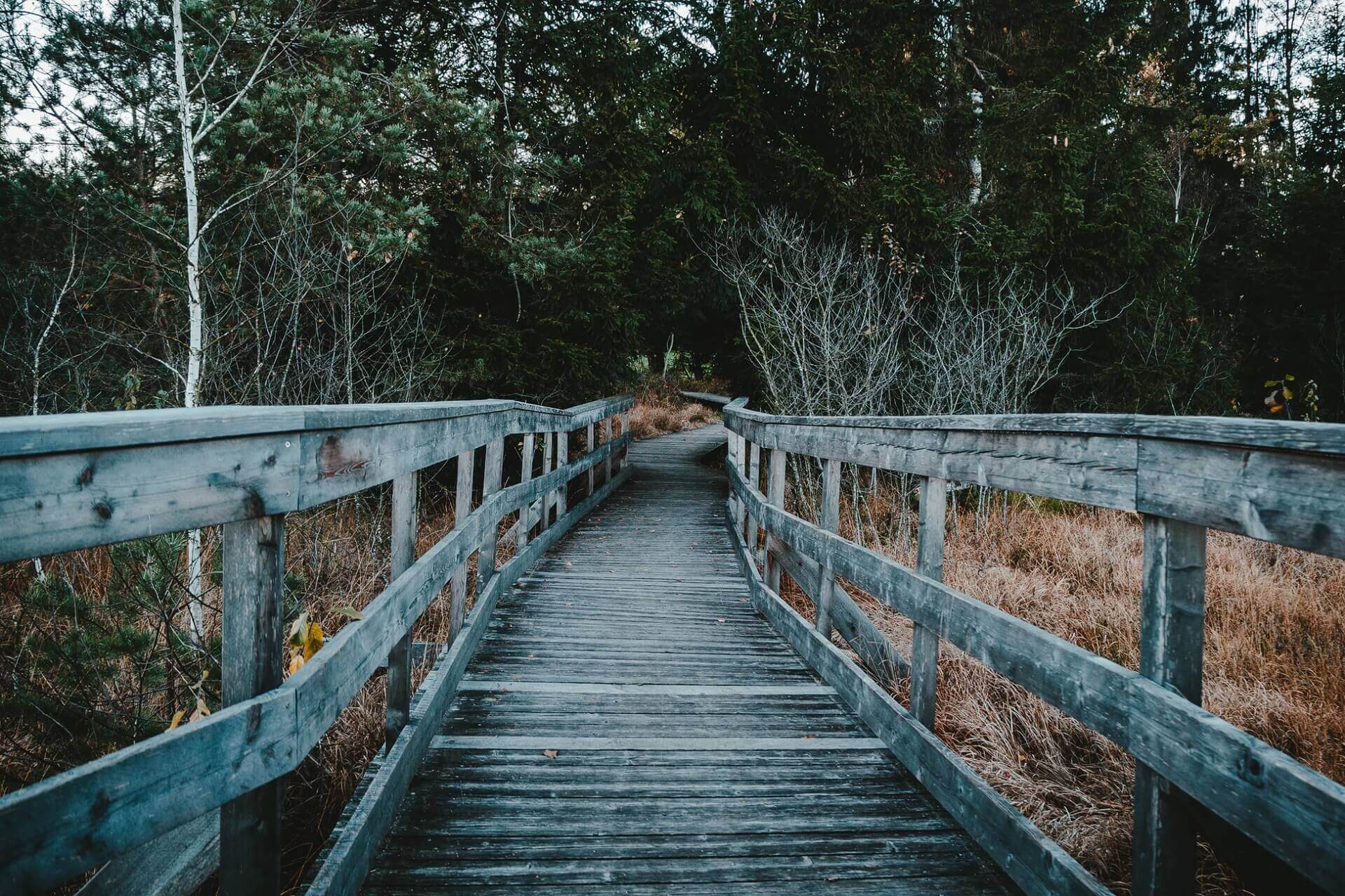 Interesting photos for any project